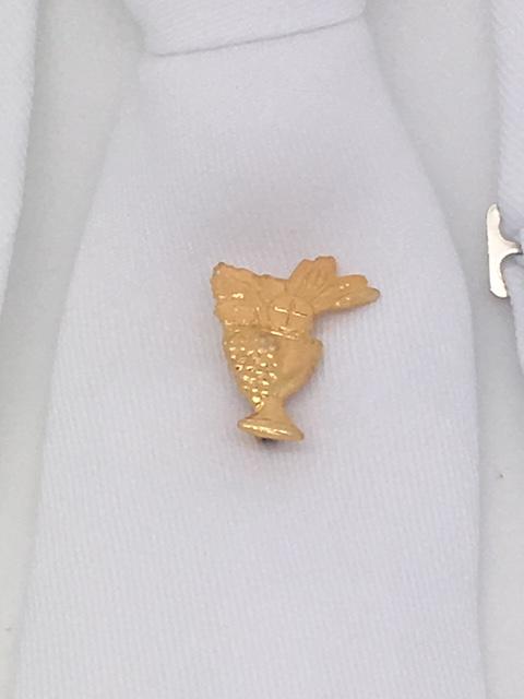 First Communion Tie with Gold Holy Communion Pin (White) - Unique Catholic Gifts