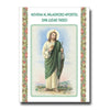 Novena al Milagroso Apostol San Judas Tadeo - Unique Catholic Gifts