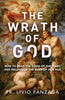 The Wrath of God How to Read the Signs of the Times and Recognize the Evils of Our Age by Fr. Livio Fanzaga - Unique Catholic Gifts
