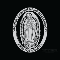 Virgen de Guadalupe Transparent Car Decal (4.25 × 5.75") - Unique Catholic Gifts